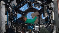 Sarà la Dott.ssa Sandra Magnus, astronauta della NASA  veterana di tre missioni spaziali, a sostituire il collega Colonnello Doug Wheelock trattenuto negli USA per seri problemi personali, ed inizialmente contattato...